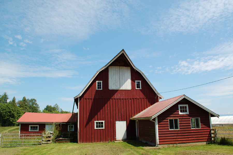 beautiful barns for weddings